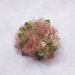 スモークツリーのミニリース18cm -Bの画像