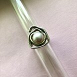 ピンク パールのRINGの画像