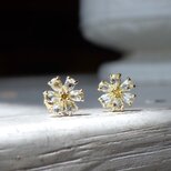 1点もの　デージーのピアスK18YG　ペアシェイプダイアの画像