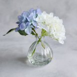 紫陽花のマジカルウォーター　Blue&White 枯れない花　インテリアフラワー　父の日　枯れない花の画像