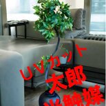 光触媒　人工観葉植物　ウォールグリーン　フェイクグリーン　アイビーポトス110の画像