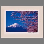 ●『桜と富士山』●がんどうあつし写真撮影・編集落款サイン入り20枚限定A4額装品の画像
