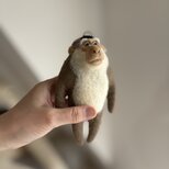 ミナミブタオザルのキーホルダーの画像