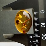 バルティックアンバー[202] 20x15mm 7Cts　天然石 ／ ルース ／カボションの画像