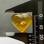 バルティックアンバー[204] 19x26mm 7Cts　天然石 ／ ルース ／カボションの画像