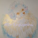 ポメラニアン2の画像