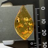 バルティックアンバー[210] 28x16mm 8Cts　天然石 ／ ルース ／カボションの画像