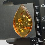 バルティックアンバー[216] 29x17mm 9Ctsの画像