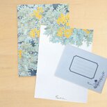 レターセット（Ａ5）シロタエギクの画像