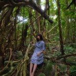 屋久島 魅入られる幻想の森 [4] 【風景写真・ポスターアート インテリア】の画像