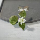 布花意外にかわいい、レアな八重のドクダミのブローチの画像