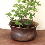備前焼 花器　h3-132の画像