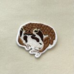 刺繍ワッペン■アメフクラガエル■蛙　カエルの画像