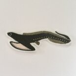 刺繍ワッペン■フクロウナギ■深海魚■の画像