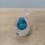 ひこばえ（スカイブルー）の画像
