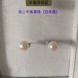 あこや本真珠（日本産）のピアスの画像