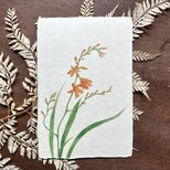 和紙の絵葉書【夏の記憶】の画像