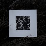版画ゆうびん no.34 'Matricaria' （銅版画）の画像