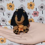 ダックスフンド　クマさん抱えて頭傾げてハイポーズ♥　羊毛の画像
