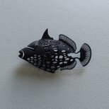 モンガラ　ブローチ　黒の画像