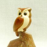 止まり木のフクロウ