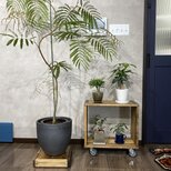キャスター付き プランタースタンド プランター台 観葉植物