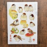 クリアファイル〈A4サイズ〉とりのこ図鑑・雀