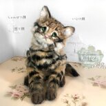 クロアシネコ 子猫 世界最小の猫 可動 困り顔 しょんぼり顔 いじけ顔 羊毛フェルト アートドール