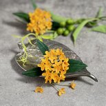 布花　心安らぐ豊かな香り。人気の金木犀のコサージュ。