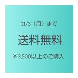 11/3㈪まで送料無料★ご一読くださいませm(_ _)m