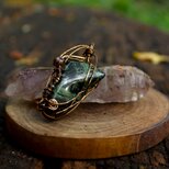 ネビュラ　身体の細胞の光を活性化させ、魂のルーツを探る