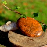 ブラウンクリサンセマム　パームストーン