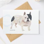 （61）ミックス犬シリーズb　ポストカード　3枚セット