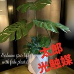 光触媒　人工観葉植物　ウォールグリーン　フェイクグリーン　バリ風特大モンステラ