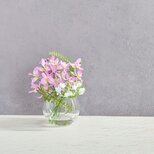 愛らしく咲く〔ミニ胡蝶蘭〕フラワーインテリア