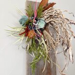 迎春のしつらえ　しめ縄飾り｜ホテイアオイ           ※期間限定