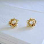 vintage star / french antique