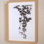 leaf2（額縁付き）　手強い相手