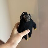 アカテタマリンのキーホルダー