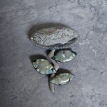 クレイジーレースアゲートの渋花