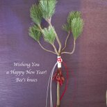 2026年新作　＜生花＞ 正月飾り　シンプルモダン＜根引寿松縄結び＞