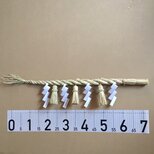 【正月飾り】ごぼう締め 75cm しめ縄 しめ飾り 1219#0２