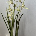 クレイの花(粘土)寒蘭