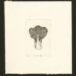 銅版画「チンゲン菜」