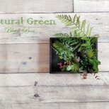 ２way 自然を感じるナチュラル系ウォールグリーンBOX　光触媒加工で空気も綺麗に！