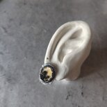 デンドリティックアゲートシルバーピアス