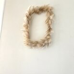 冬のふわふわな額縁  ~ちがや