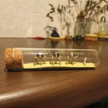 ラクダさん in 試験管