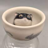 ぐいねこ　しろくろ 2