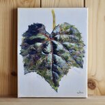 山ぶどう（原画）[original drawing]